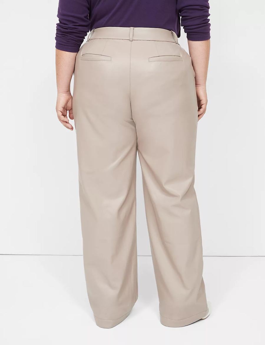 Lane Bryant Faux-Leather Straight Leg Women Pants Grey Brown | VNA987IQ