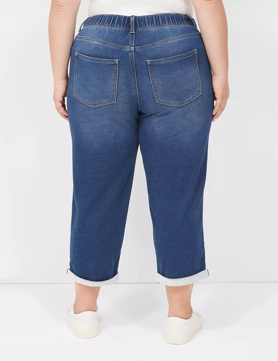 Lane Bryant Pull-On Fit Knit Boyfriend Capri Women Jeans Dark Blue | NRL6040RQ